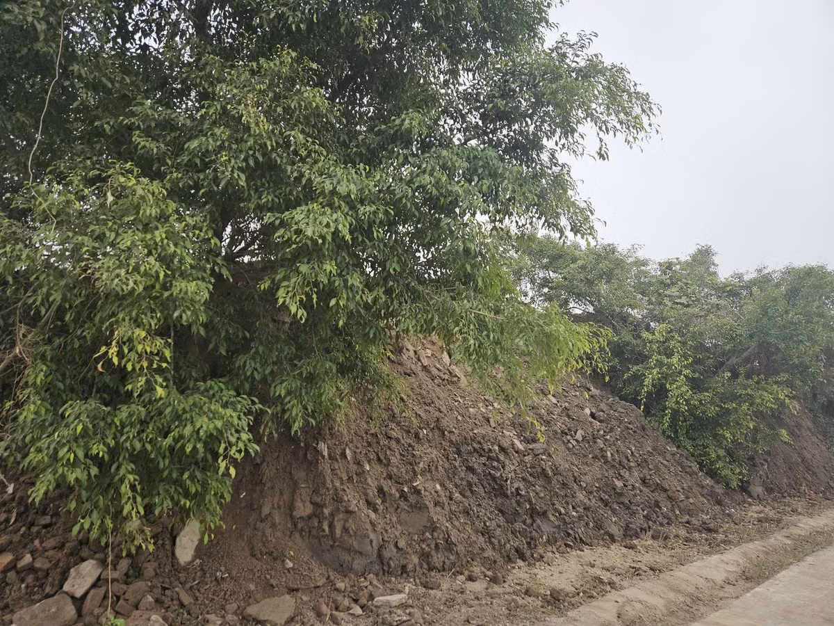 Rác thải tập kết luôn trên vỉa hè. Ảnh: N.B