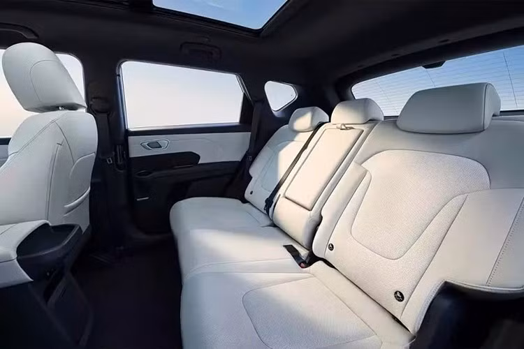 Phiên bản AWD có thêm thêm mô-tơ phụ 73 kW ở cầu sau, cho tổng công suất kết hợp 233 kW (khoảng 312 mã lực). Tốc độ tối đa của cả hai phiên bản đều là 185 km/h.