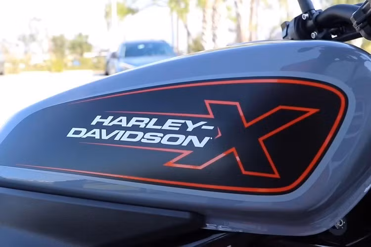 Các sản phẩm khi đó bao gồm Street 500 và Street 750 , cũng như Harley-Davidson X440 cho thị trường Ấn Độ và mẫu xe 350 do Trung Quốc sản xuất với QianJiang , nhưng nhận được phản hồi trái chiều từ thị trường.