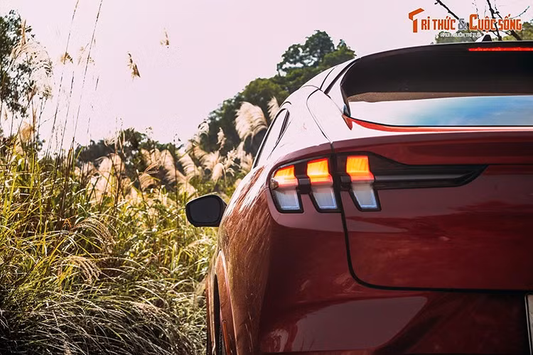 Ford Mustang Mach-E trang bị đèn pha LED projector với đèn LED ban ngày đặc trưng. Cụm đèn hậu cũng sở hữu thiết kế LED 3 thanh đặc trưng, mui kính toàn cảnh panoramic, lưới tản nhiệt phía trước đóng mở chủ động, gương chiếu hậu chỉnh - gập điện với sấy gương, và hệ thống khóa cửa E-Latch.