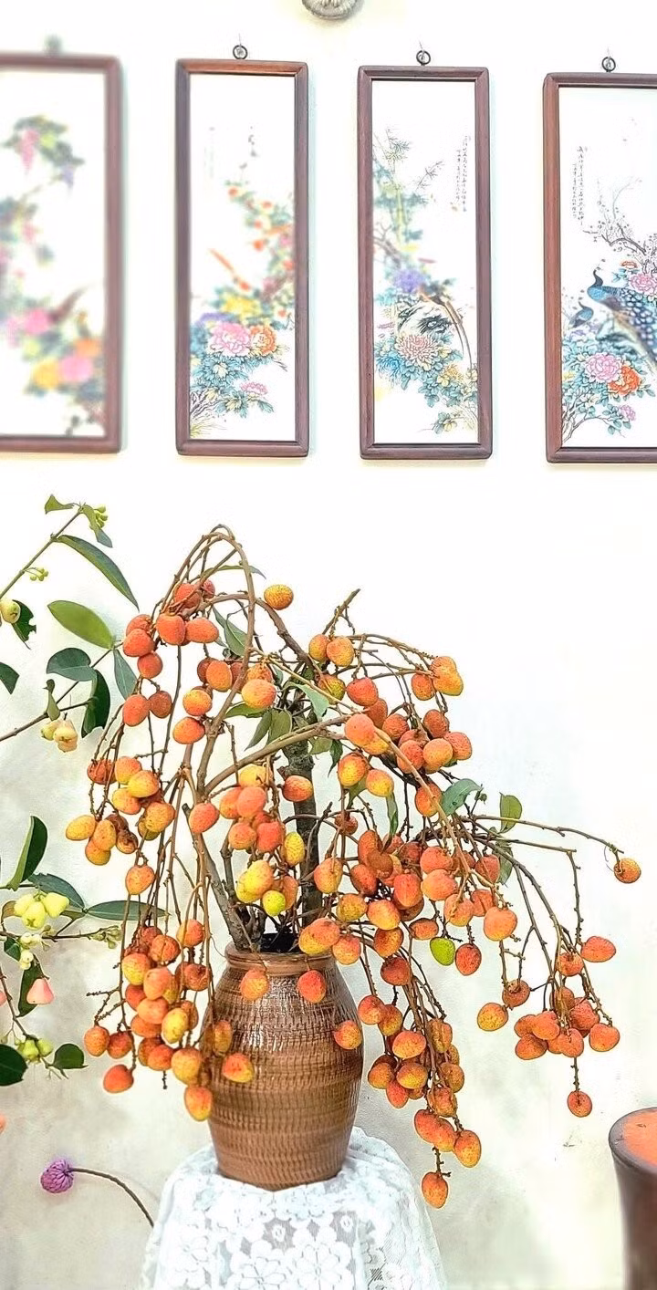 Dù được cắm trong phòng khách, phòng ăn hay góc làm việc, bình cành vải đều trở thành điểm nhấn thu hút, mang đến cảm giác thư thái và gần gũi với thiên nhiên.