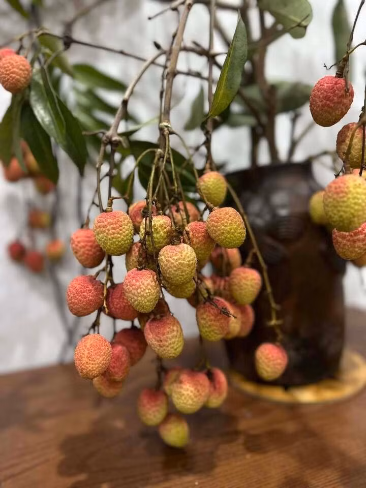 Sức hấp dẫn của trào lưu này không chỉ nằm ở vẻ đẹp tự nhiên, dân dã mà còn ở ý nghĩa sâu sắc mà nó mang lại.