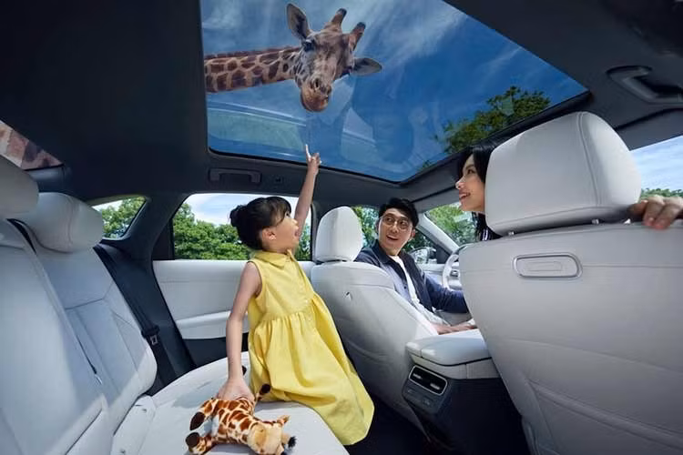 Volkswagen ID. Era 5S trở thành mẫu sedan đầu tiên của thương hiệu này được trang bị tính năng Navigate On Autopilot (NOA). Điều này có nghĩa là xe có thể tự lái từ địa chỉ này đến địa chỉ khác. Tuy nhiên, người lái vẫn phải liên tục theo dõi tình hình, vì đây vẫn là hệ thống hỗ trợ lái xe cấp độ 2 với khả năng tự động hóa một phần.
