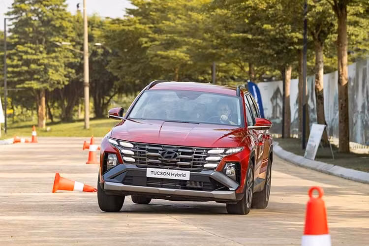 Gallery - Hyundai Thành Công tổ chức lái thử Tucson Hybrid và Palisade Hybrid mới - image 6