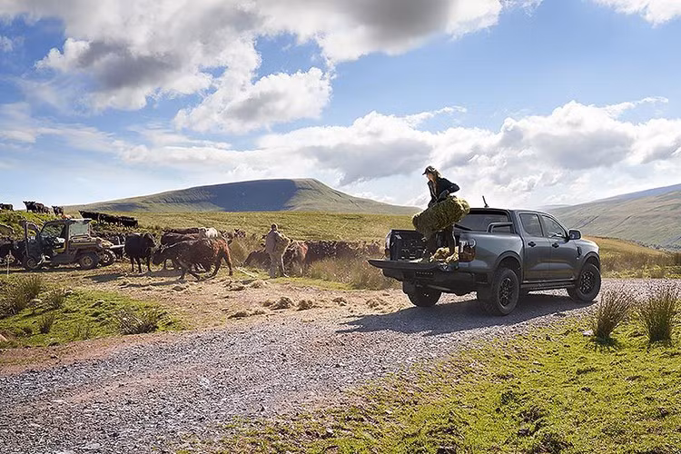 Ngoài ra Ford Ranger 2026 bản nâng cấp vẫn có tùy chọn máy V6 3.0L mạnh 247 mã lực, 600 Nm, đi kèm hộp số tự động 10 cấp và hệ dẫn động cầu sau hoặc 4WD tùy phiên bản.
