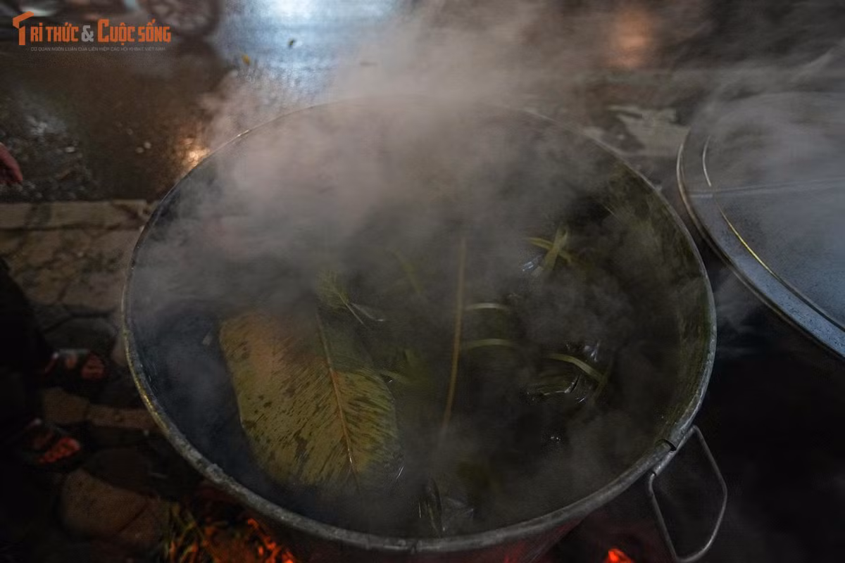 Trong bối cảnh nhịp sống hiện đại ngày càng nhanh, việc gói bánh chưng thủ công có thể xem là một cách đối trọng với xu hướng “mua sẵn, dùng nhanh”. Nhiều bạn trẻ bày tỏ rằng, qua việc tham gia vào từng công đoạn, họ cảm nhận sâu sắc hơn giá trị của Tết, gắn liền với tinh thần tôn vinh gia đình và cội nguồn.