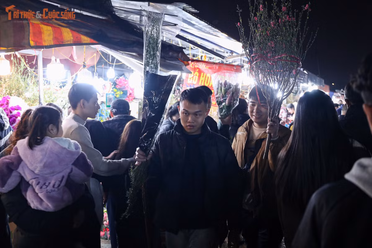 Năm nay, chợ hoa Quảng An xuất hiện thêm nhiều loại hoa lạ, lần đầu có mặt tại Hà Nội. Những giống hoa nhập từ Đà Lạt được vận chuyển bằng đường hàng không, nhanh chóng thu hút sự chú ý của người mua bởi màu sắc và kiểu dáng độc đáo. Tuy nhiên, trong cao điểm cận Tết, các loại hoa quen thuộc vẫn chiếm ưu thế và là lựa chọn hàng đầu của đa số người dân.