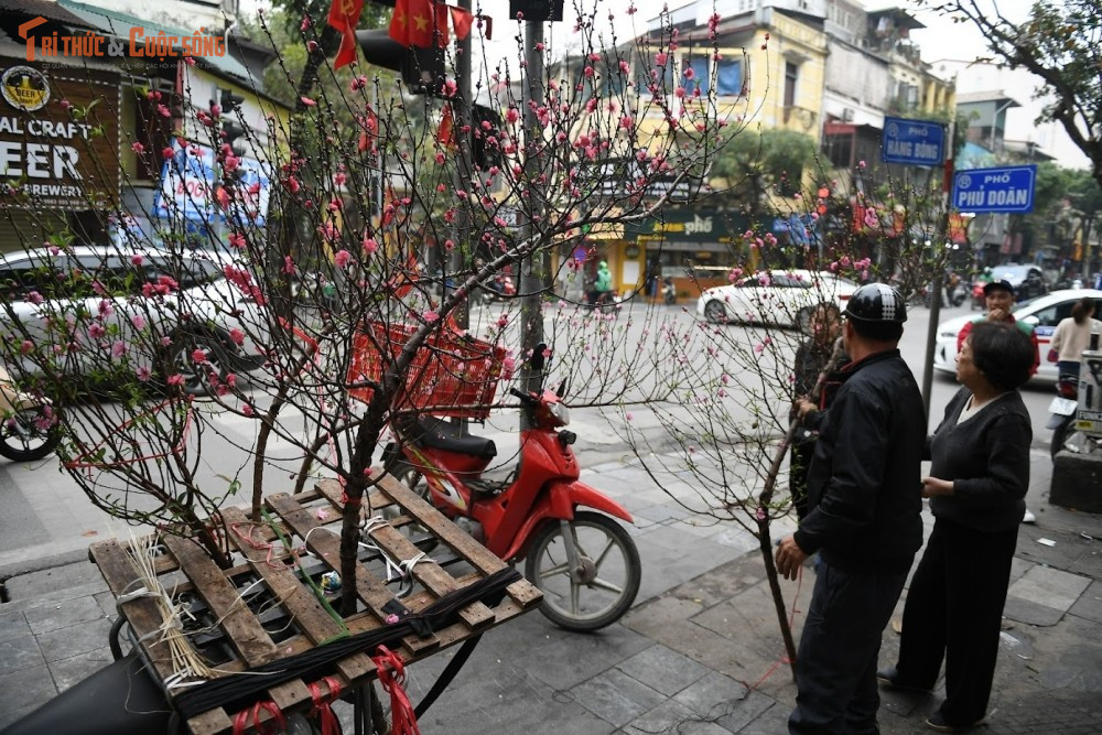 Điều dễ nhận thấy trong những ngày cận Tết là sự hiện diện đông đảo của du khách quốc tế. Nhiều người tỏ ra thích thú khi hòa mình vào dòng người tấp nập, khám phá không khí Tết cổ truyền Việt Nam. Những khuôn mặt rạng rỡ, những bức ảnh kỷ niệm được ghi lại bên hoa đào, đèn lồng hay các con phố cổ đã trở thành hình ảnh quen thuộc, góp phần làm nên bức tranh đa sắc của phố cổ những ngày cuối năm.
