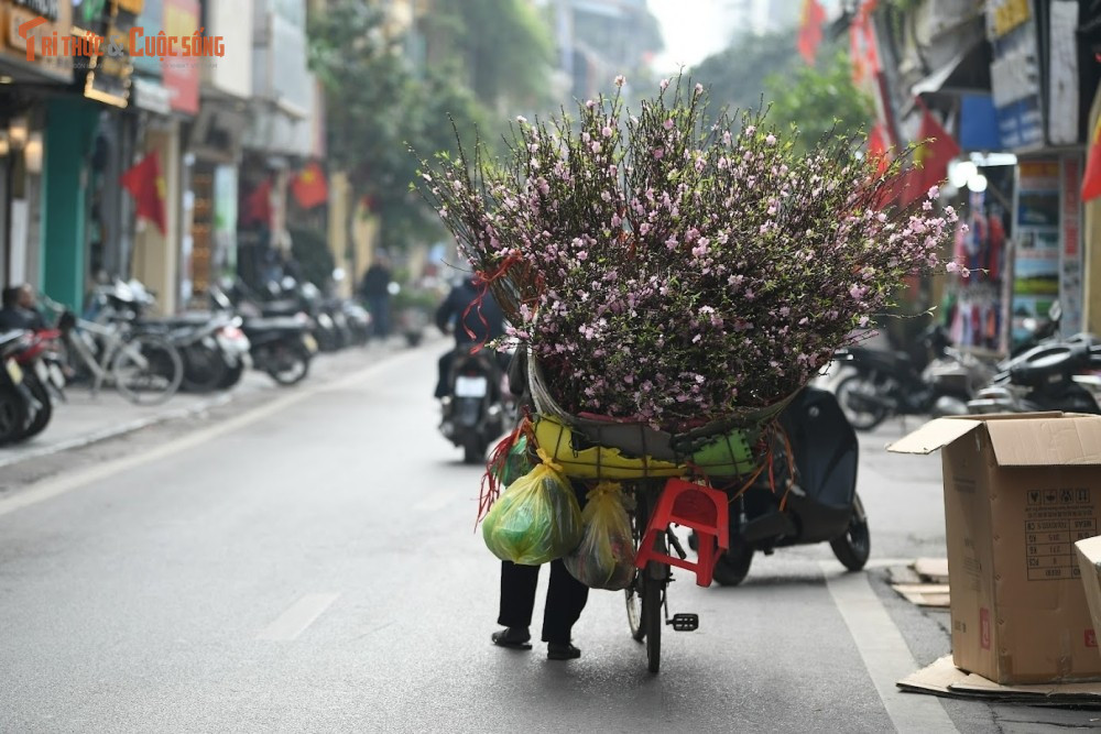 Phố cổ Hà Nội những ngày cận Tết không chỉ đơn thuần là nơi mua bán, vui chơi, mà còn là không gian lưu giữ ký ức, cảm xúc của nhiều thế hệ. Trong dòng người tấp nập, ai cũng mang theo một niềm háo hức riêng, chờ đón thời khắc sum vầy.