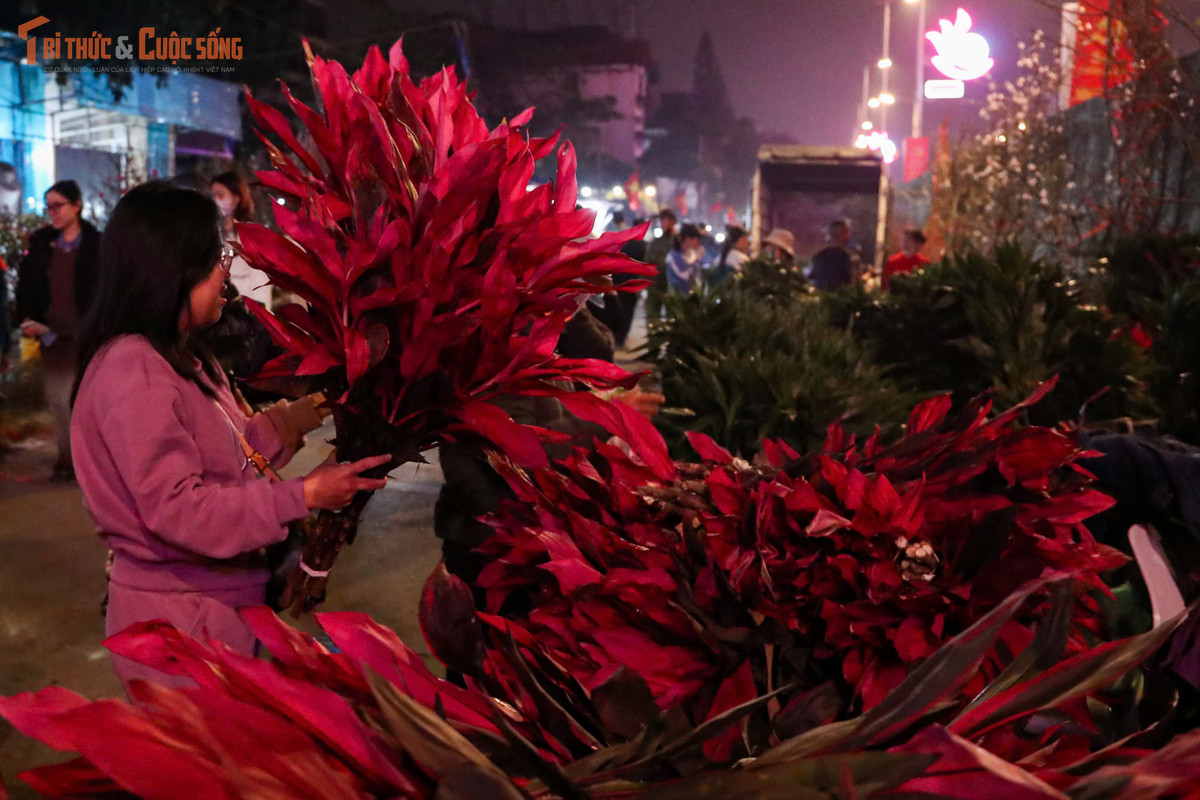 Với nhiều người dân Thủ đô, một chuyến đi chợ hoa đêm giáp Tết không chỉ để mua hoa, mà còn là cách cảm nhận rõ ràng nhất mùa xuân đang về rất gần.