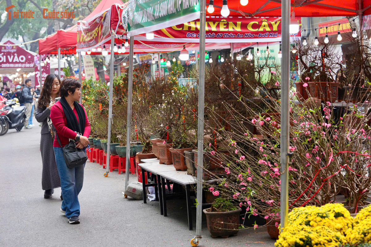 View - Chợ hoa Xuân Phố cổ 2026, không gian Tết truyền thống giữa lòng Thủ đô | Báo Tri thức và Cuộc sống - TIN TỨC PHỔ BIẾN KIẾN THỨC 24H