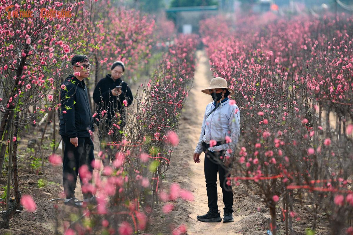 Giữa lòng Hà Nội nhộn nhịp, vẫn có những góc nhỏ để con người tìm về sự an yên, tạm gác lại lo toan thường nhật.