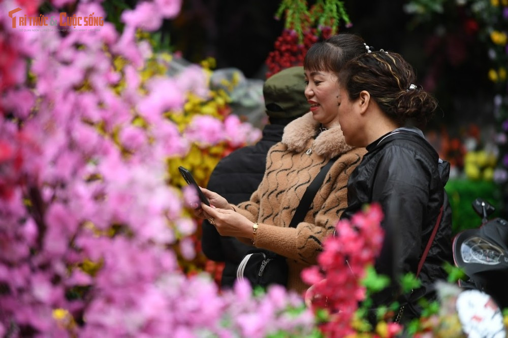 Không xa đó, khu vực Hàng Lược, Hàng Khoai lại mang nét trầm lắng hơn với không gian chợ hoa Tết. Những gánh đào, quất, hoa cúc, hoa violet… nối tiếp nhau khoe sắc, khiến người qua đường không khỏi chậm bước. Với nhiều gia đình Hà Nội, việc dạo chợ hoa những ngày giáp Tết đã trở thành thói quen, không chỉ để mua hoa mà còn để cảm nhận nhịp chuyển mùa, tận hưởng không khí xuân đang đến rất gần.