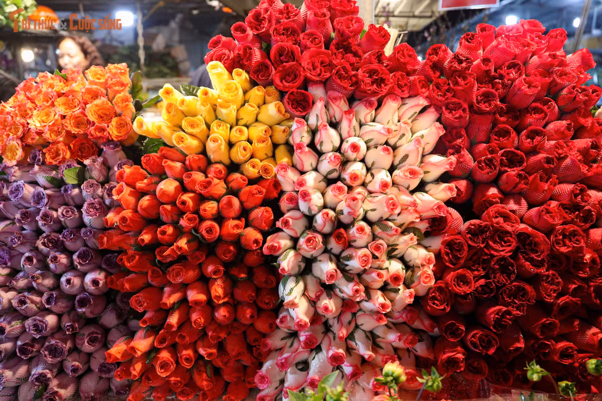 Chia sẻ tại chợ, nhiều tiểu thương cho biết giá hoa năm nay tăng theo quy luật cung – cầu vào dịp cao điểm, song vẫn ở mức chấp nhận được. “Chợ đông quá nên khách khó chọn được kỹ như ngày thường, nhưng ai cũng muốn mua nhanh để kịp về trang trí nhà cửa”, một tiểu thương cho hay. Theo họ, càng sát thời điểm giao thừa, giá hoa nhiều khả năng sẽ tiếp tục tăng.