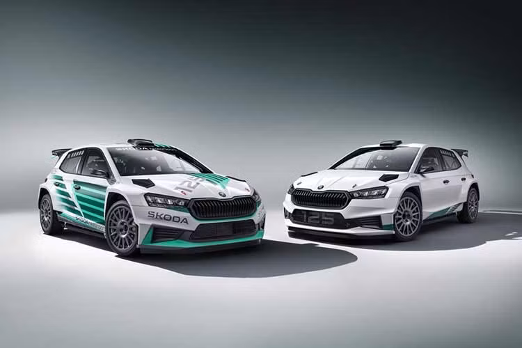 Di sản của Škoda Motorsport bắt nguồn từ năm 1901, khi hãng tham gia các sự kiện đua xe máy. Ngày nay, những chiến thắng và danh hiệu được giành được ở hạng mục WRC2 của FIA World Rally Championship, FIA European Rally Championship cùng các giải đua rally khu vực và quốc gia khác.