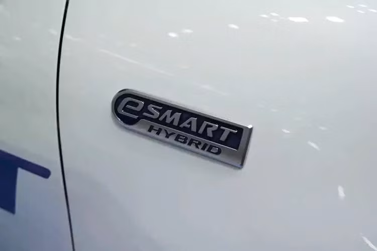 Động cơ xăng sẽ hoạt động như một máy phát điện để sạc pin hybrid. Trong khi đó, mô-tơ điện truyền động trực tiếp đến bánh xe. Như vậy, Daihatsu Rocky e-Smart Hybrid hoạt động tương tự như một xe điện mở rộng phạm vi. Mức tiêu thụ nhiên liệu được công bố của mẫu xe hybrid này là 3,6 lít/100 km theo chu trình WLTP.