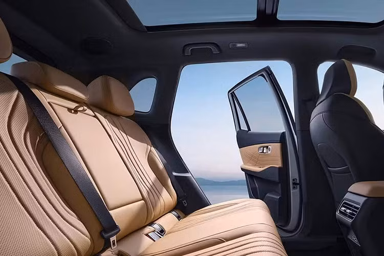 Ghế ngồi bọc da với hai tùy chọn màu sắc, trong đó bản Max có ghế trước chỉnh điện, thông gió, sưởi và nhớ vị trí. EX5 EM-i còn ghi điểm nhờ cách bố trí tới 34 hộc chứa đồ, bao gồm một khoang lớn ở bệ trung tâm.