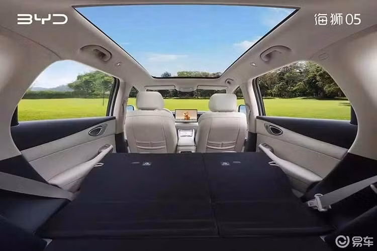 Nguồn cung cấp sức mạnh cho BYD Sealion 05 sẽ thay đổi theo phiên bản. Ở bản thuần điện EV, xe dùng mô-tơ điện đặt trên cầu sau với 2 mức công suất tối đa là 200 kW (khoảng 268 mã lực) và 240 kW (322 mã lực). Xe dự kiến sẽ sử dụng pin Blade thế hệ thứ hai cùng công nghệ sạc nhanh mới của BYD.