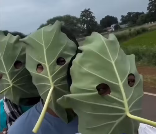 Trào lưu lá sen là một phần trong danh sách dài những “vũ khí chống nắng kỳ lạ” từng gây sốt ở Trung Quốc. Khoảng hơn 10 năm trước, trào lưu facekini - chỉ những chiếc khẩu trang kín mít chỉ chừa mắt, mũi và miệng từng khiến cư dân mạng sốc khi được các cô trung niên diện đi biển ở Thanh Đảo, tỉnh Sơn Đông.