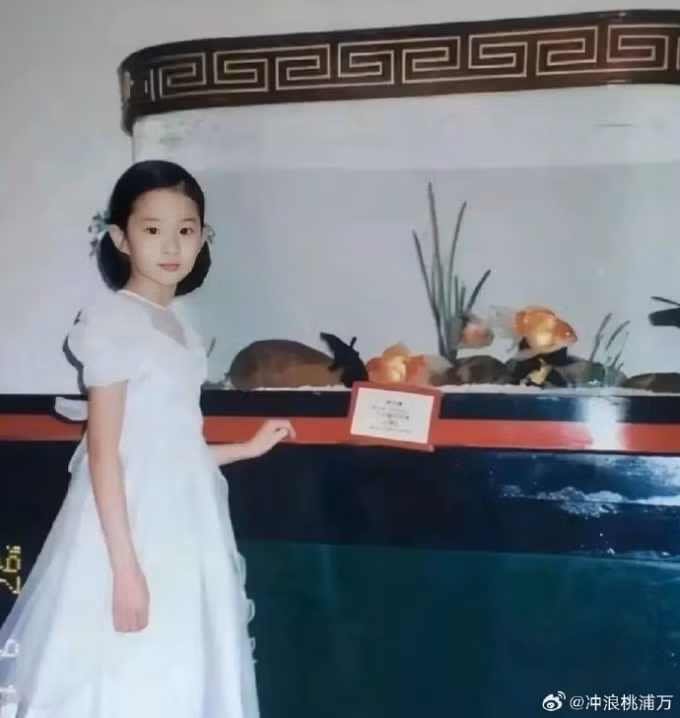 Tủ quần áo của Lưu Diệc Phi đa phần là quần áo hàng hiệu của các thương hiệu quốc tế, ví dụ Dior, với mẫu mã thời trang.