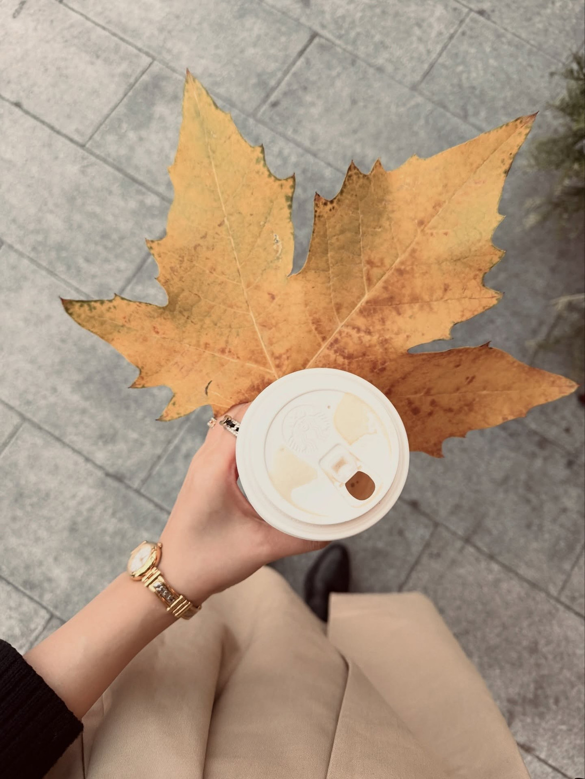 Một trong những khung hình gây chú ý nhất là khoảnh khắc người đẹp đứng giữa phố, khẽ xoay người mỉm cười, phía sau là dòng xe cộ tấp nập. Hình ảnh này được nhiều cư dân mạng ví von “như poster phim điện ảnh”, bởi vừa có chiều sâu thị giác, vừa tôn trọn khí chất của nhân vật chính.