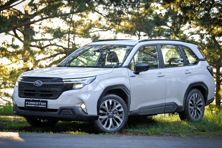 Giá bán của Subaru Forester e-Boxer Hybrid 2026 tại Philippines là 2.498.000 PHP (tương đương 1,13 tỷ đồng), đi kèm là 11 tùy chọn màu sơn. Dự đoán, mẫu xe SUV này sẽ sớm được đưa về Việt Nam vào cuối năm nay và được nhập khẩu nguyên chiếc từ Nhật Bản.