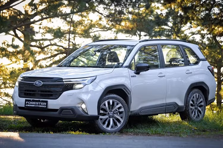 Giá bán của Subaru Forester e-Boxer Hybrid 2026 tại Philippines là 2.498.000 PHP (tương đương 1,13 tỷ đồng), đi kèm là 11 tùy chọn màu sơn. Dự đoán, mẫu xe SUV này sẽ sớm được đưa về Việt Nam vào cuối năm nay và được nhập khẩu nguyên chiếc từ Nhật Bản.