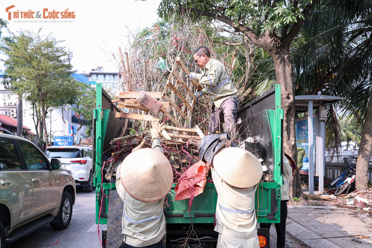 Yếu tố kinh tế cũng được nhắc đến như một nguyên nhân quan trọng. Trong bối cảnh nhiều gia đình phải thắt chặt chi tiêu, các khoản mua sắm Tết được cân nhắc kỹ hơn, ưu tiên nhu cầu thiết yếu. Việc bỏ ra vài triệu đồng cho một cành đào đẹp không còn là lựa chọn của nhiều người như trước.