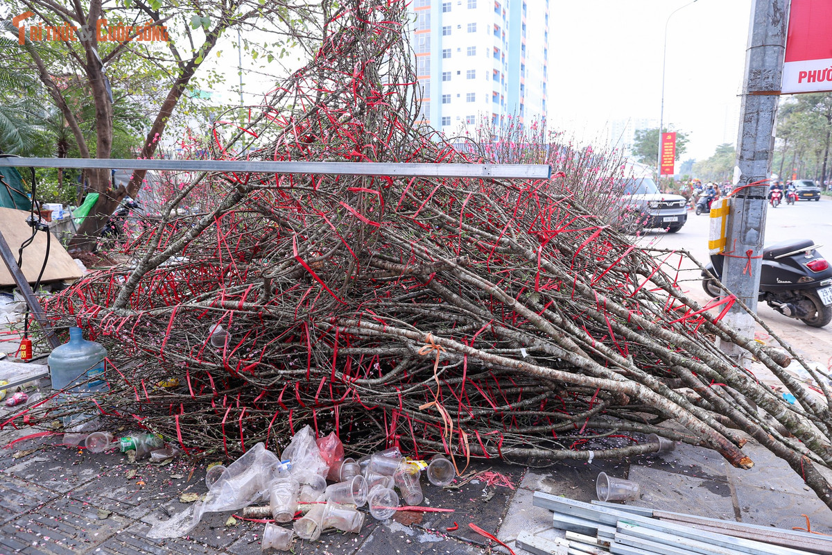 Thực tế này đặt ra bài toán khó cho người trồng và buôn bán đào, quất cảnh. Việc phụ thuộc lớn vào thời tiết, thị hiếu và sức mua khiến rủi ro mỗi mùa Tết ngày càng cao. Nhiều ý kiến cho rằng cần có giải pháp kết nối tiêu thụ sớm hơn, đa dạng kênh bán hàng hoặc hình thức hỗ trợ để hạn chế tình trạng lãng phí.