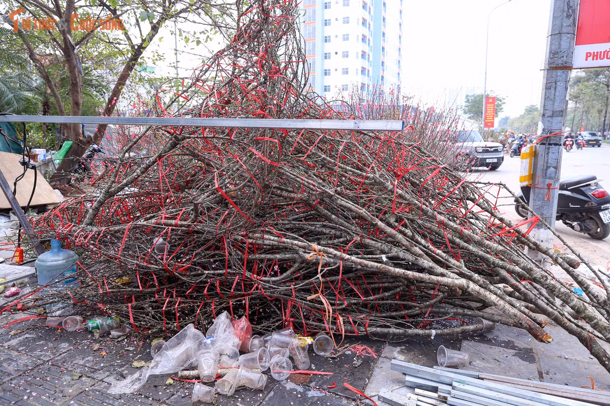 Thực tế này đặt ra bài toán khó cho người trồng và buôn bán đào, quất cảnh. Việc phụ thuộc lớn vào thời tiết, thị hiếu và sức mua khiến rủi ro mỗi mùa Tết ngày càng cao. Nhiều ý kiến cho rằng cần có giải pháp kết nối tiêu thụ sớm hơn, đa dạng kênh bán hàng hoặc hình thức hỗ trợ để hạn chế tình trạng lãng phí.