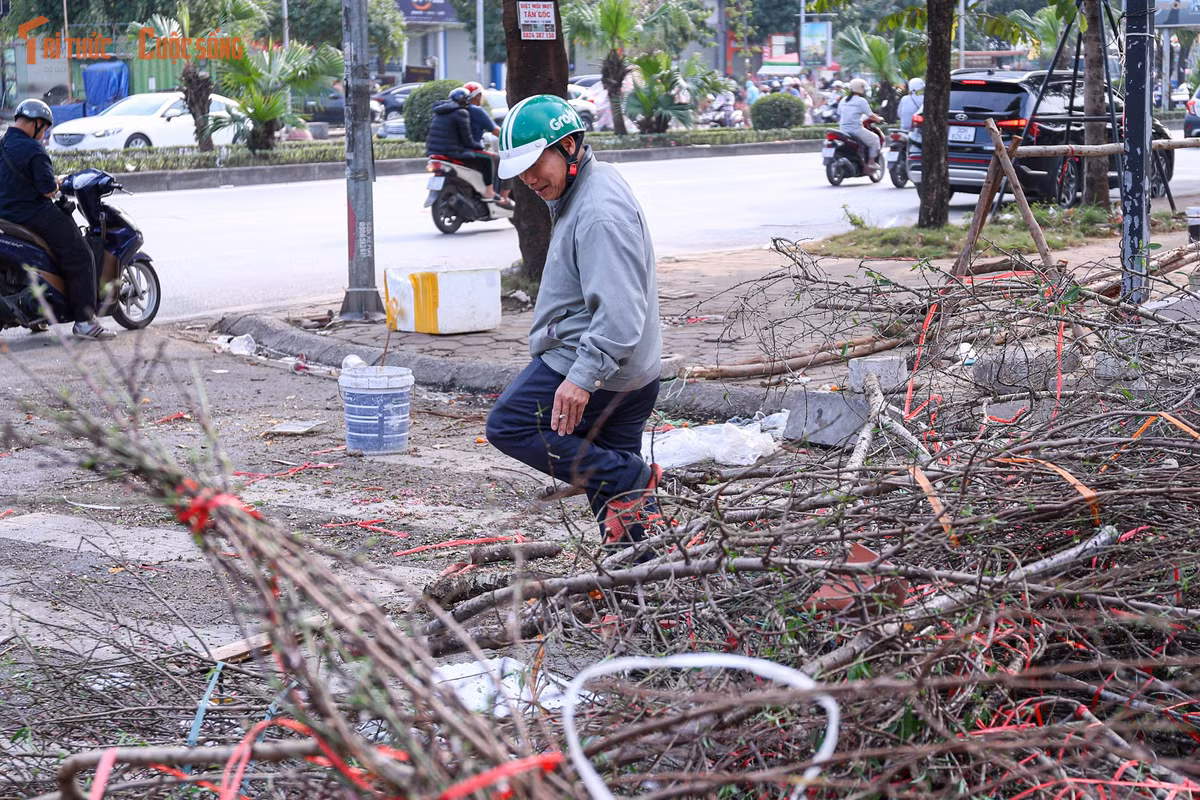 Chứng kiến cảnh tượng này, không ít người dân bày tỏ sự xót xa. “Nhìn cảnh này thấy xót xa quá. Giá như có cách nào hỗ trợ tiêu thụ sớm hơn thì đỡ lãng phí”, ông T., một người dân sống gần khu vực buôn bán đào chia sẻ.