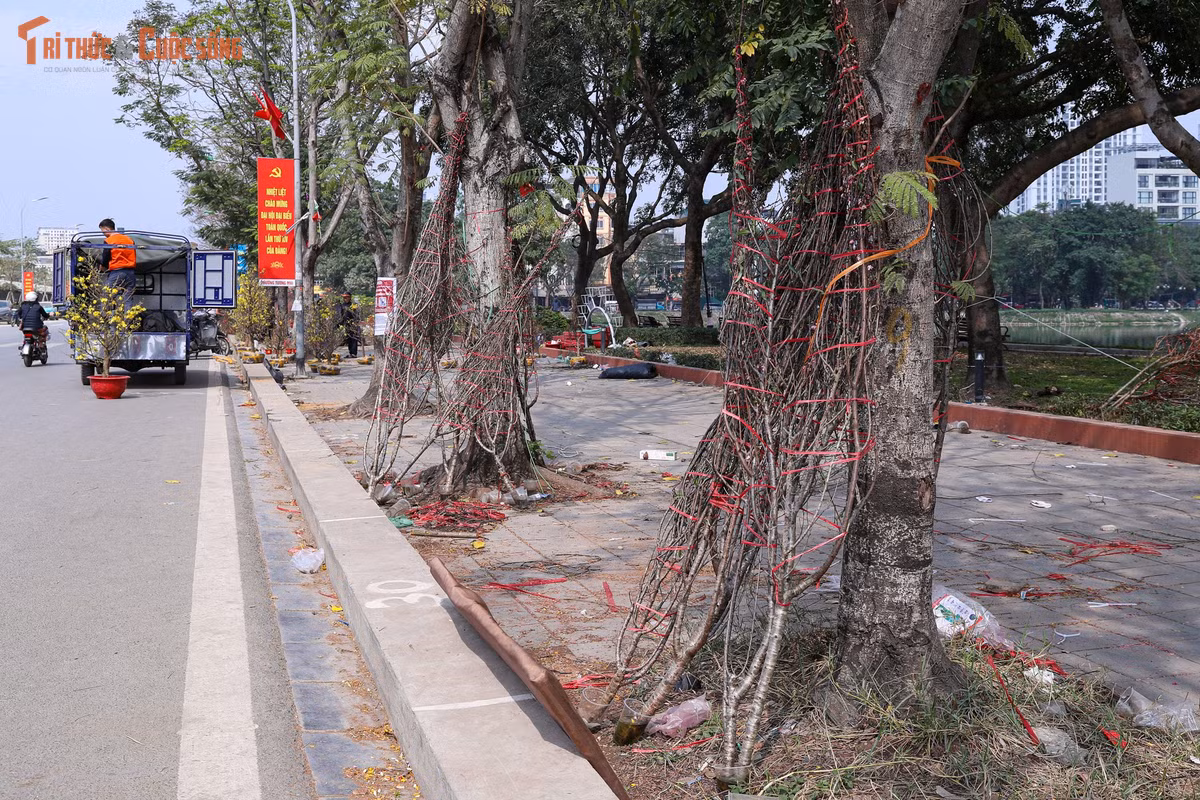 Theo các tiểu thương, số đào bị chặt bỏ chủ yếu là hàng tồn sau nhiều ngày bày bán. Những ngày giáp Tết, lượng khách năm nay thưa thớt hơn hẳn so với mọi năm. Dù đã giảm giá sâu, thậm chí bán hòa vốn, nhiều chủ hàng vẫn không thể giải phóng hết số đào đã nhập từ các vùng trồng.