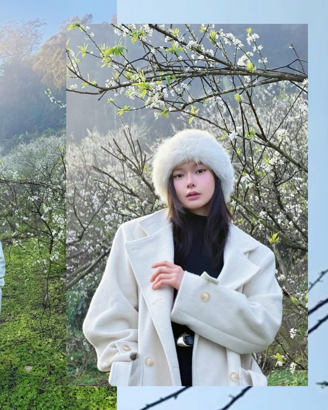 Hoa mận vốn được xem là “đặc sản” mỗi độ xuân về của cao nguyên Mộc Châu. Khi nở rộ, cả vùng đồi núi như được phủ một lớp áo trắng tinh khôi, tạo nên khung cảnh vừa hùng vĩ vừa lãng mạn.