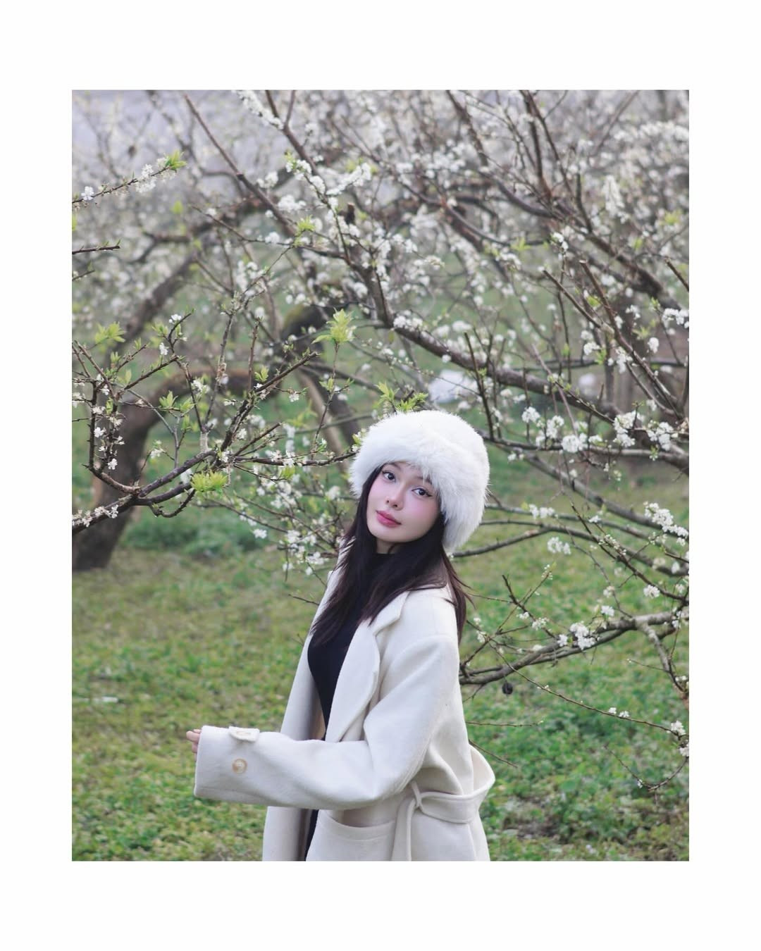 Trên mạng xã hội, loạt ảnh nhanh chóng thu hút sự quan tâm với nhiều lời khen dành cho nhan sắc và gu thẩm mỹ của Đỗ Yên Đan. Không ít ý kiến cho rằng cô rất “hợp vibe” với khung cảnh Mộc Châu, thậm chí có người ví von hình ảnh người đẹp giữa vườn hoa mận như bước ra từ một thước phim điện ảnh lãng mạn.