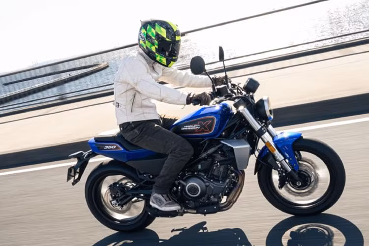 Bộ đôi xe cỡ nhỏ thương hiệu đình đám Mỹ này dễ sử dụng nhưng vẫn giữ chất Harley-Davidson. Cả hai được phát triển hợp tác cùng QJ Motor (Trung Quốc) và phân phối dưới thương hiệu Harley-Davidson chính hãng.