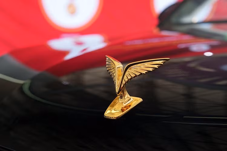 Điểm chung của cả hai phiên bản: Tiêu chuẩn và Chống đạn là sự sang trọng nổi bật với chiều dài trục cơ sở lên tới 3.349 mm. Các chi tiết ngoại thất được thiết kế ấn tượng nhằm tôn vinh mạnh mẽ nguồn cội và văn hóa truyền thống Việt Nam.