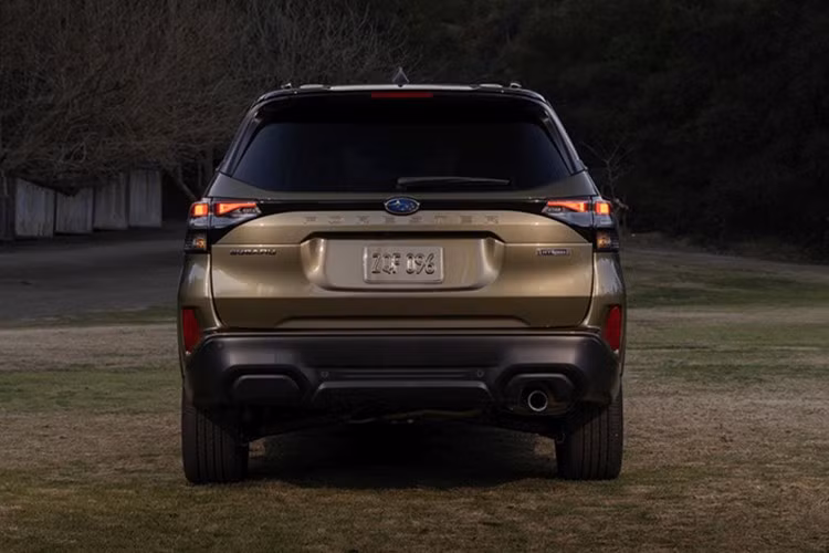 Mặc dù Subaru chưa xác nhận việc đưa Forester thế hệ mới về Việt Nam, nhưng khả năng mẫu SUV này gia nhập thị trường trong thời gian tới là hoàn toàn khả thi.