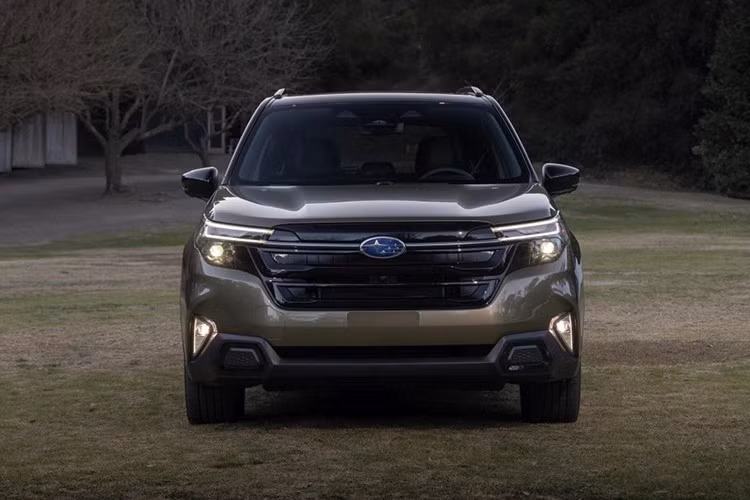 Tuy nhiên, trở ngại lớn nhất có thể đến từ giá bán, do Forester vẫn sẽ được nhập khẩu nguyên chiếc từ Nhật Bản. Điều này đồng nghĩa với việc mức giá có thể khó cạnh tranh hơn so với các đối thủ được lắp ráp trong nước hoặc nhập khẩu từ khu vực ASEAN.