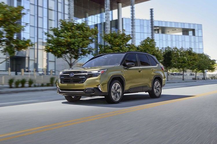 View - Subaru sắp bán Forester 2025 tại Indonesia, có về Việt Nam? | Báo Tri thức và Cuộc sống - TIN TỨC PHỔ BIẾN KIẾN THỨC 24H