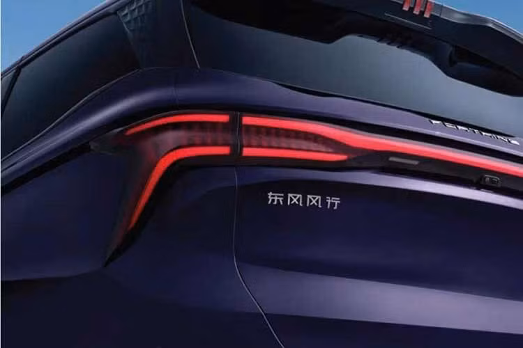 Forthing V9 được gọi bằng cái tên Xinghai V9 ở thị trường Trung Quốc. Ra mắt vào năm 2024, mẫu xe này là sản phẩm đầu tiên của dòng xe Xinghai. Ngoài ra, V9 còn trở thành một trong những mẫu xe bán chạy nhất trong dòng sản phẩm Xinghai. Theo dữ liệu tại thị trường Trung Quốc, mẫu xe này ghi nhận doanh số 4.863 chiếc vào năm 2024 và 4.363 chiếc vào năm 2025.