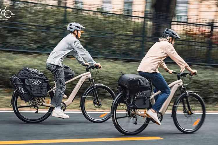 Đây là mẫu xe đạp điện lựa chọn lý tưởng cho những chuyến đi dài trên địa hình hỗn hợp, với nhiều phụ kiện như rơ moóc chở hàng hoặc thú cưng.