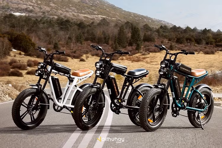 Dù nặng 34 kg, xe vẫn mang lại trải nghiệm lái mượt mà nhờ hệ thống treo kép, rất phù hợp cho off-road và được đánh giá cao bởi các chuyên gia. Mẫu xe này có khả năng di chuyển lên tới 120 km mỗi lần sạc khi mang pin kép.