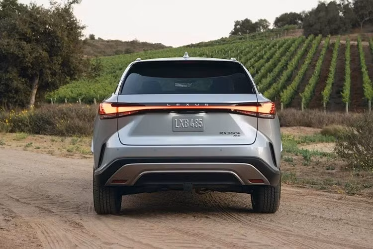 Song song với việc bổ sung phiên bản mới, Lexus cũng nâng cấp trang bị tiêu chuẩn trên toàn bộ dòng RX. Đáng chú ý nhất là tính năng sạc điện thoại không dây, vốn từng bị phàn nàn khi thiếu vắng trên mẫu crossover hạng sang này.