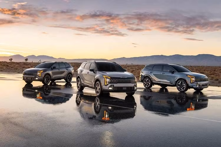 Hệ truyền động hybrid là sự kết hợp của động cơ tăng áp 1.6L với hộp số tự động 6 cấp và động cơ điện, cho công suất tăng nhẹ lên 231 mã lực nhờ động cơ điện mạnh hơn và hệ thống phanh tái tạo được tối ưu hóa. Trong khi đó, phiên bản plug-in hybrid cũng có công suất được gia tăng thêm 7 mã lực, nâng công kết hợp lên 268 mã lực.