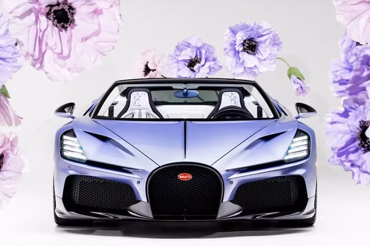 Bugatti W16 Mistral Caroline được trang bị động cơ W16 dung tích 8.0L trứ danh với 4 bộ turbo, sản sinh sức mạnh tối đa 1.600 mã lực và mô-men xoắn cực đại 1.600 Nm. Đi kèm với động cơ này là hộp số 7 cấp ly hợp kép và hệ dẫn động 4 bánh toàn thời gian. Điều này giúp chiếc xe có khả năng tăng tốc 0-100 km/h trong 2,4 giây.