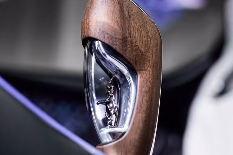 Bức tượng "Dancing Elephant" (chú voi nhảy múa) bằng nhôm nguyên khối của Rembrandt Bugatti được tái hiện trong khối hổ phách, tích hợp vào cần số ốp gỗ.