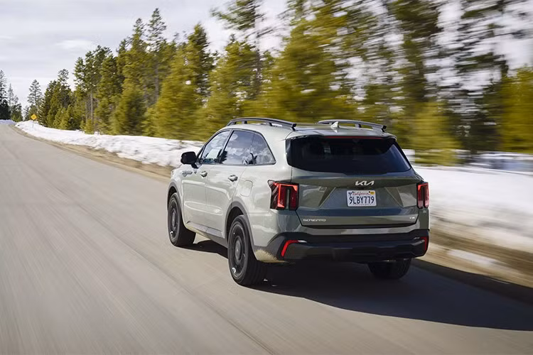 Di chuyển lên bản Sorento EX giá 38.290 USD người dùng sẽ nhận được thêm gói trang bị cao cấp mới với mức giá 2.000 USD và chỉ dành cho phiên bản dẫn động cầu trước. Mặc dù không hề rẻ, nhưng gói này bổ sung thêm ghế VIP hàng ghế thứ hai, cửa sổ trời toàn cảnh bằng kính và hệ thống âm thanh cao cấp Bose.