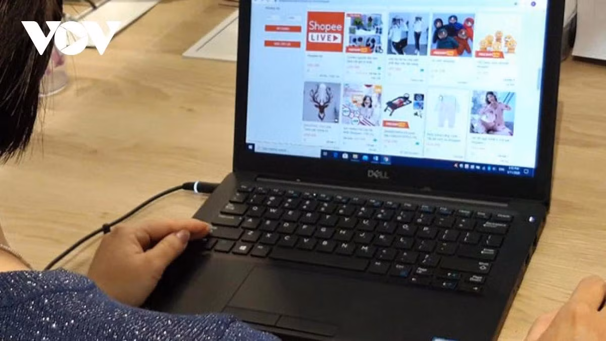 TMĐT XBG đang trở thành một hướng đi quan trọng giúp DN Việt Nam mở rộng thị trường