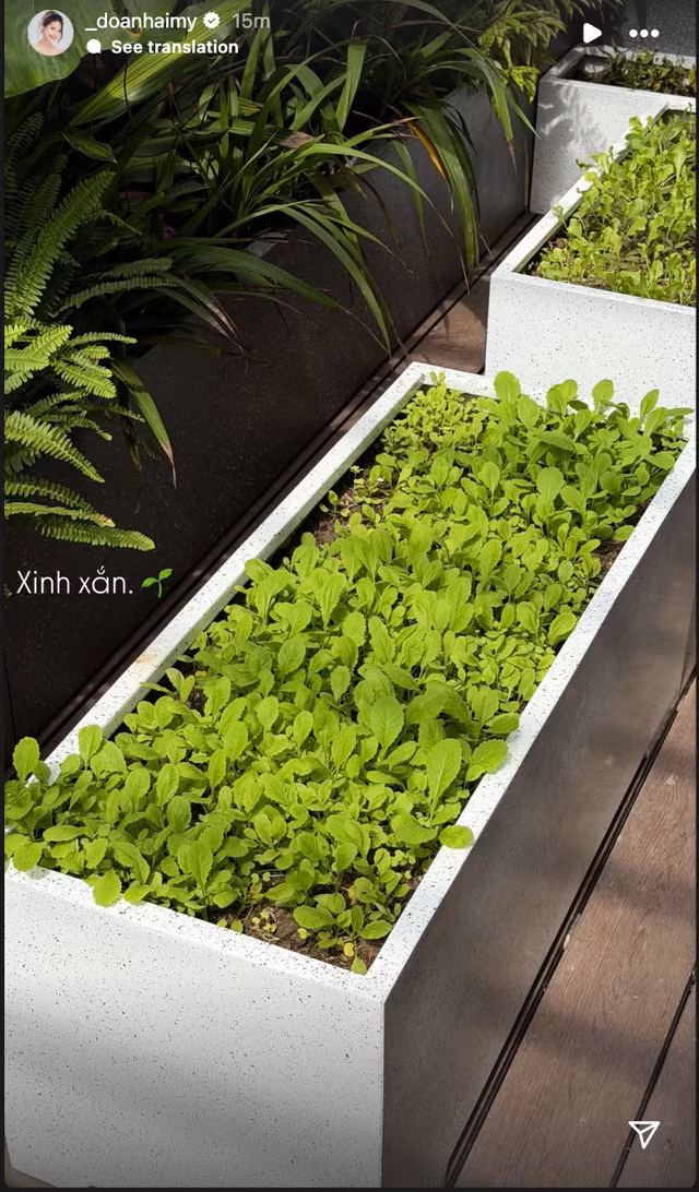 Mới đây, những hình ảnh cận cảnh trong căn biệt thự mới toanh của hai vợ chồng Văn Hậu - Hải My được hé lộ khiến netizen không khỏi trầm trồ. Không gian sống sang trọng, mang hơi hướng châu Âu, nhưng vẫn giữ được cảm giác ấm cúng, nhẹ nhàng - và điều đáng nói là phần lớn đều do chính tay Doãn Hải My lựa chọn, sắp xếp.