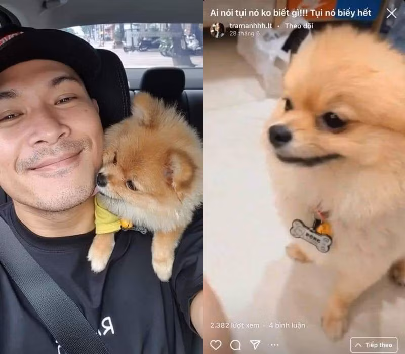 Trước đó, cún cưng của Trâm Anh xuất hiện trên story của Trương Thế Vinh